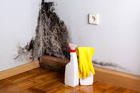 Trusted Cramerton, NC Mold Inspection Experts